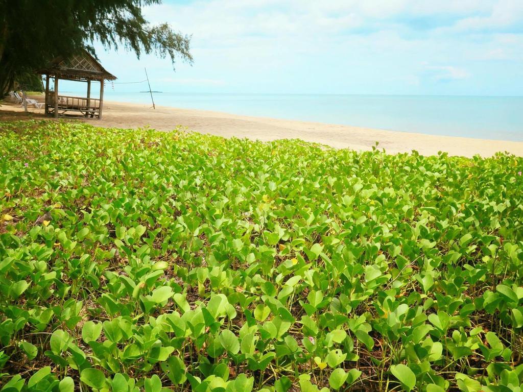 Bayview Beach Resort Ban Krut  Ngoại thất bức ảnh